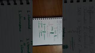 Difference between chromatin and chromosomepart 1 [upl. by Alahs]