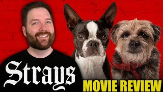 Strays  Movie Review [upl. by Sweyn]