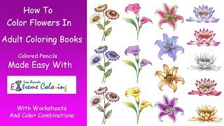 How To Color Flowers In Coloring Books Choosing Colors Combinations Blending Shading Lisa Brando [upl. by Gun]