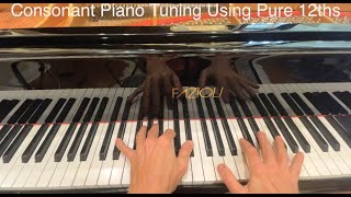 Consonance Piano Tuning From Pure12ths [upl. by Haimes986]