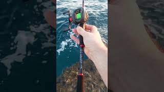 SOUGAYILANG  cheap baitcasting kit for beginners [upl. by Kyne144]