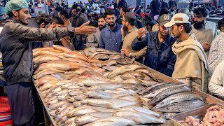 Balochi Fried Fish amp Grilled Fish • Pakistans Biggest Seafood Food Street Lahori Masala Fish Fry [upl. by Nwahsel294]