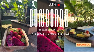 Concorde De Luxe Resort Otel Dış Alan Yemek Yerleri [upl. by Damaris]