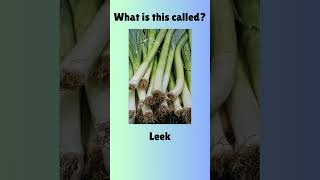 quotKnow Your Veggies Essential Vegetable Vocabularyquot vegetables vocabulary shorts english words [upl. by Notyalk273]