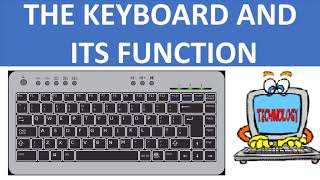 KEYBOARD AND ITS FUNCTION  FUNCTIONS OF THE KEYBOARD  BASIC COMPUTER  COMPUTER FUNDAMENTALS [upl. by Nadruoj129]