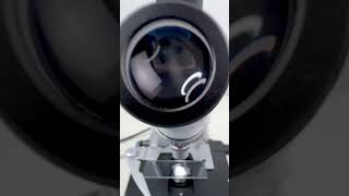 Natto mucus magnified 400 times is surprisingshorts fyp science microscope shortsvideo [upl. by Marybelle319]