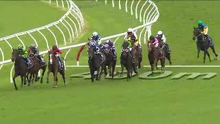 BRIGHT RED WINS AT RANDWICK [upl. by Cailean]