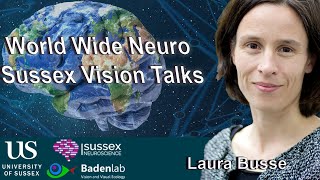 World Wide Neuro  Sussex Vision Series  07062021  Laura Busse [upl. by Irfan]