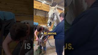 Using Duck Tape on Horse to Distract Her 🤣 🙌 [upl. by Varin495]