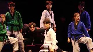 KUKKIWON Taekwondo Demonstration Team [upl. by Corliss]