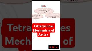 Tetracyclines Mechanism of Action [upl. by Ailuy]