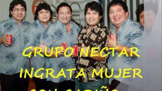 GRUPO NECTAR INGRATA MUJER [upl. by My]