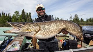 GIANT Pike in Manitoba — Full Fight ✅ [upl. by Ymac]