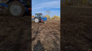 Mtz belarus drift [upl. by Harv988]