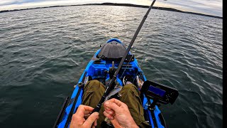 Lake Macquarie Kayak Fishing Few Flatties and in search for Lake Mac Jewy August 22 2024 [upl. by Jac998]