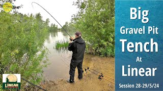 Tench Fishing  Big Tench amp Carp  Agony amp Ecstasy  Linear Hunts Corner  28➜29524 Vid 498 [upl. by Puduns]