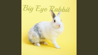 Big Eye Rabbit [upl. by Flatto]