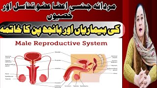 Treament Of Male Genitalia Organ [upl. by Eletnahc231]