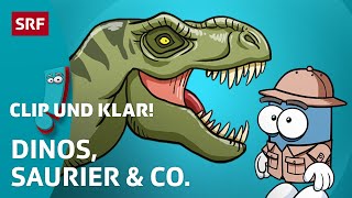 Was du über Dinosaurier wissen musst 🦖  SRF Kids – Clip und klar  Für Kinder erklärt [upl. by Ardelis]