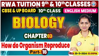 Class 10th Biology Chapter 3  How do organism reproduce Part 16  10th by Gaurangi Mam [upl. by Rockwell]