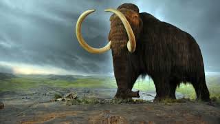 The Woolly Mammoth 5 Facts You Won’t Believe [upl. by Sundin44]