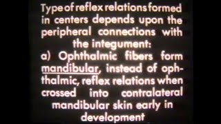 1940s Lab Experiment Roger W Sperry  Caltech [upl. by Pauwles31]