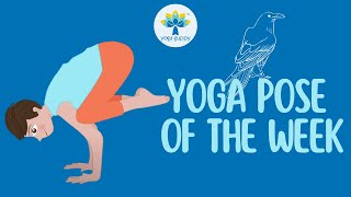 Yoga Pose of the Week  Crow Pose  Improve Flexibility with Yoga  Yoga Guppy [upl. by Aurea]