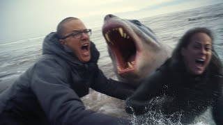 This Leopard Seal Killed a Married Couple [upl. by Drwde]