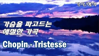 쇼팽  이별의 곡 예술가곡 가사해석 Chopin  Tristesse [upl. by Huff]