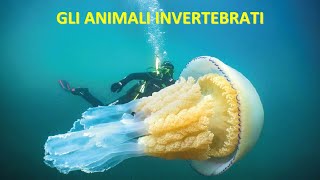 GLI ANIMALI INVERTEBRATI [upl. by Htaras]