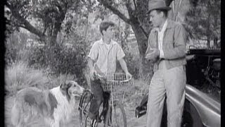 Lassie  Episode 75  quotThe Gossipquot  Season 3 10 11111956 [upl. by Arnelle211]