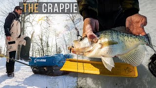 Run amp Gun FREAKS BIG ANNOUNCEMENT  The Crappie Chronicles S4E3 [upl. by Cohlier]