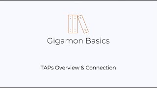 Gigamon Basics TAPs Overview and How to Connect Them [upl. by Town247]