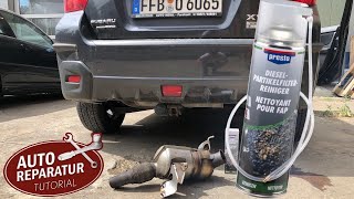 DPF reinigen mit DieselpartikelfilterReiniger aus der Sprühdose  So funktioniert´s [upl. by Kara-Lynn860]