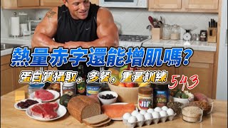 熱量平衡、進食時機、重量訓練，如何影響肌肉合成與分解【補充】 [upl. by Akemhs]