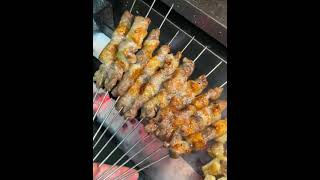 Xinjiang Roast Lamb food streetfood [upl. by Arikihs972]