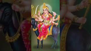 maa maladi shortvideo song status [upl. by Neivad]