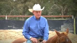 Bruce Mcnaughton Campdrafting  DVD preview [upl. by Higley]