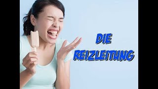 Die Reizleitung [upl. by Dewitt]