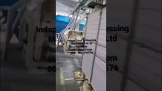 Maize Grit Plant by Indopol machine businessideas flourmillmachine ytubeshorts youtube [upl. by Illehs477]