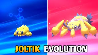 How To Evolve Joltik Into Galvantula In Pokemon Sword amp Shield  Galar Pokedex [upl. by O'Neill830]