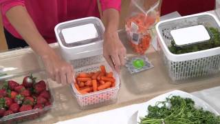 OXO Greensaver Produce Keeper amp Carbon Refill Set with David Venable [upl. by Nnylaf]