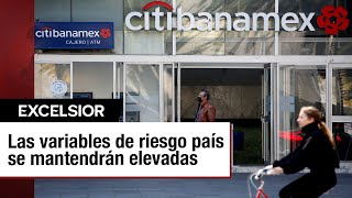 Citibanamex advierte sobre aumento de deuda y riesgos en el Paquete Económico 2025 [upl. by Ramedlab638]