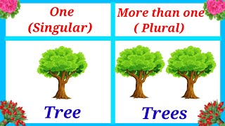 Singular  Plural  Singular and plural in English [upl. by Stinson359]