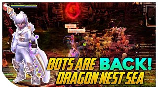 Dragon Nest Bots Are Back In Dragon Nest SEA [upl. by Desdemona]