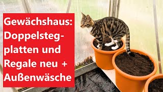 Gewächshaus fit Neue Doppelstegplatten Außenwäsche neue Regale frische Pflanzen Film 141 [upl. by Annaerdna208]