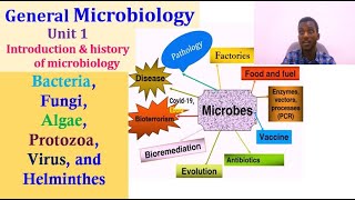 General Microbiology Unit 1 Introduction and History of Microbiology [upl. by Ransom]