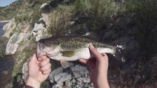 Bass Fishing California  LOPEZ LAKE  42217 [upl. by Eelrihs]