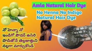 Amla Natural Hair Dye No Henna No Indigo Powder  ఉసిరితో నల్లని జుత్తు Natural ArunasMagazine [upl. by Levinson]