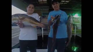 Homosassa Redfish inshore grouper River Adventure Tours [upl. by Nefen]